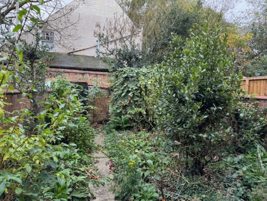 Lot Image