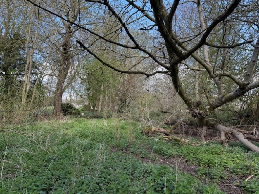 Lot Image
