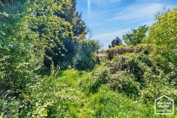 Lot Image