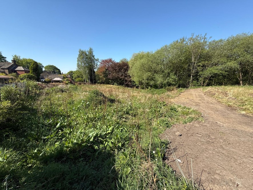 Lot Image
