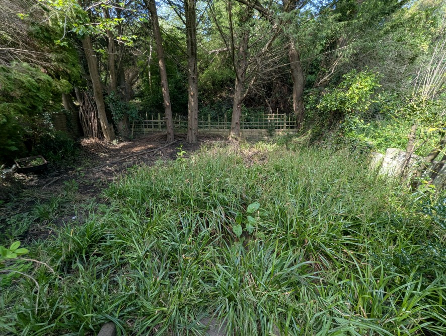 Lot Image