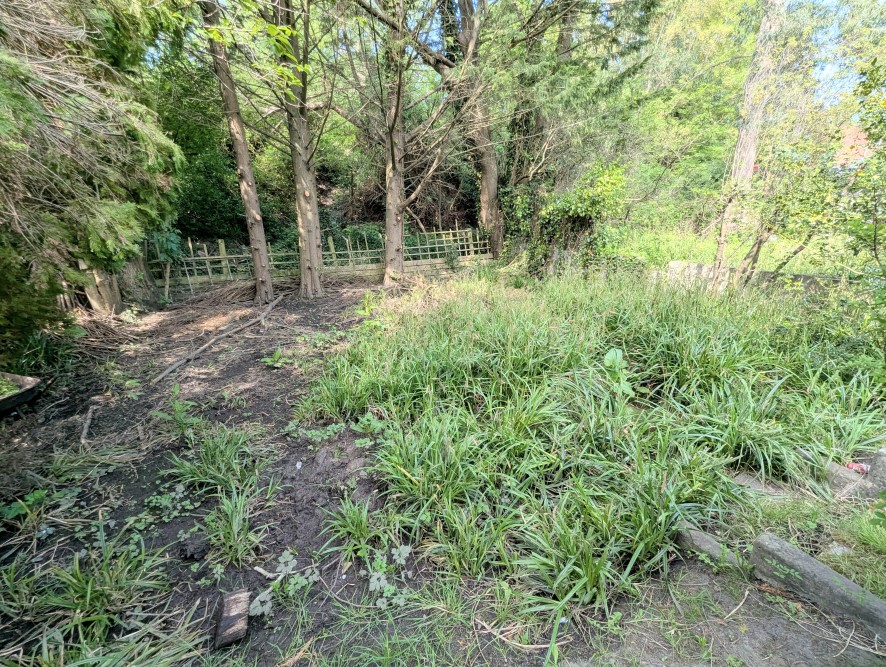 Lot Image