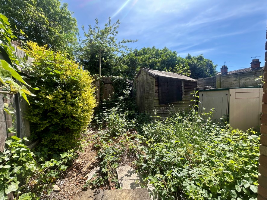 Lot Image