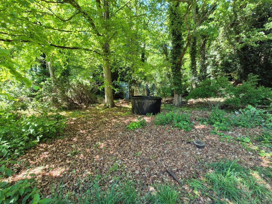 Lot Image