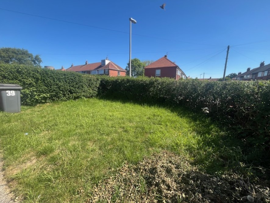 Lot Image