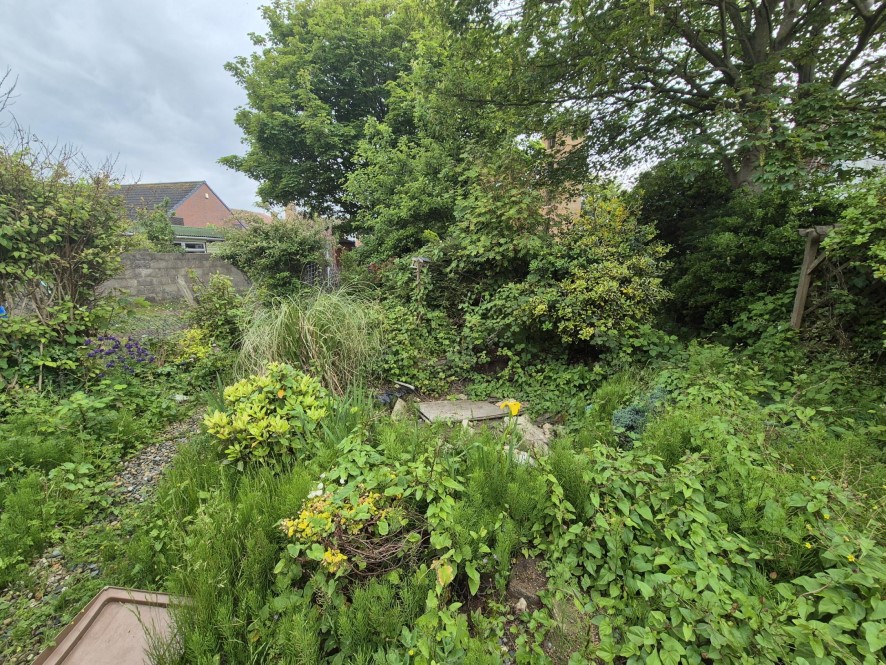 Lot Image