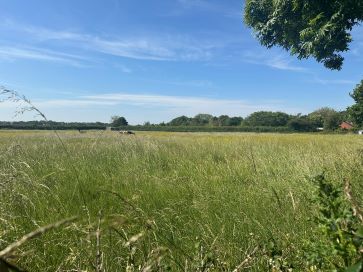 Property for Auction in East Anglia - Land off Low Street, Ilketshall St. Margaret, Bungay, Suffolk NR35 1QZ