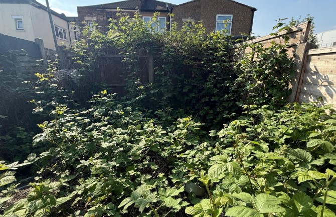 Lot Image