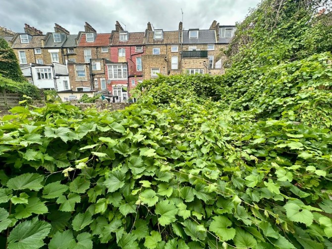 Lot Image