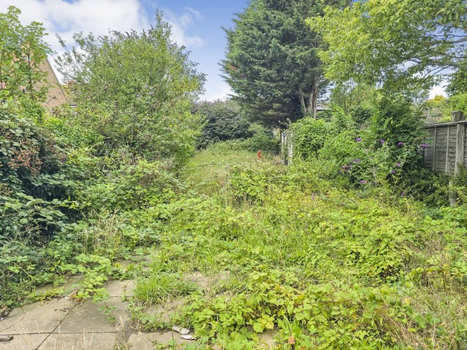 Lot Image