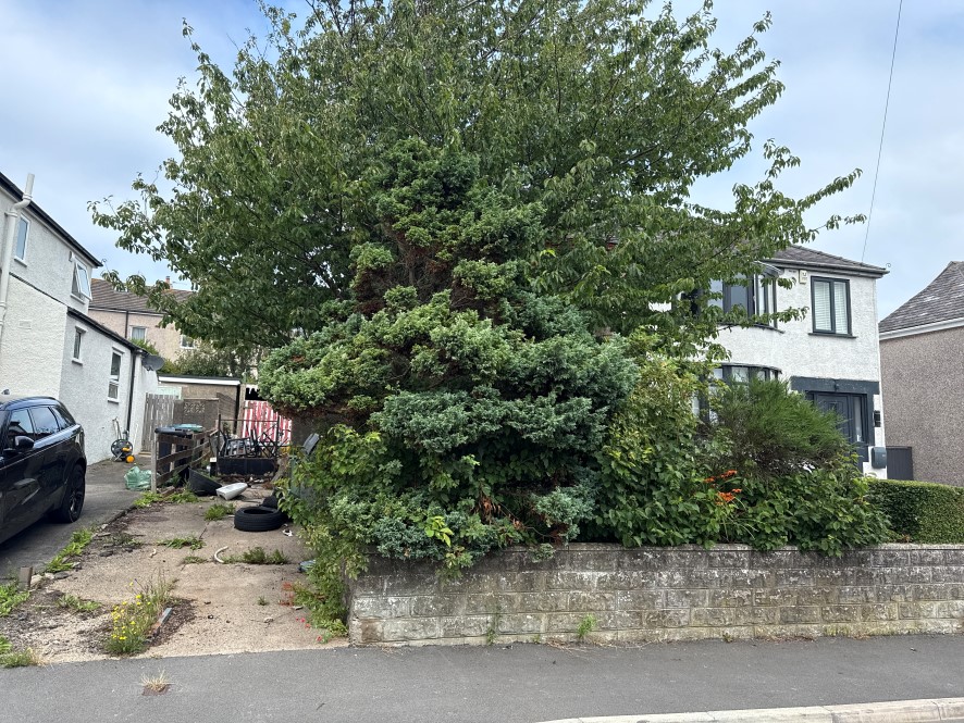 Lot Image