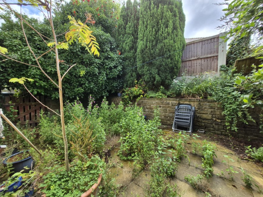 Lot Image
