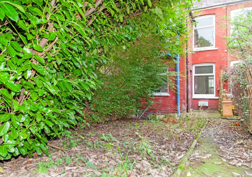 Lot Image