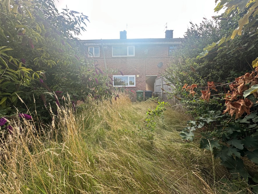 Lot Image