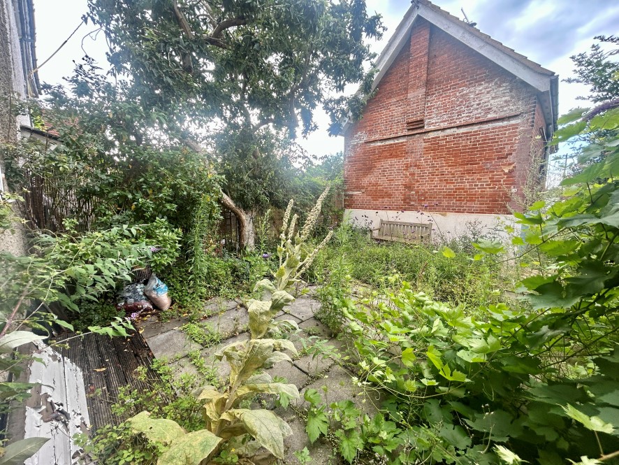 Lot Image