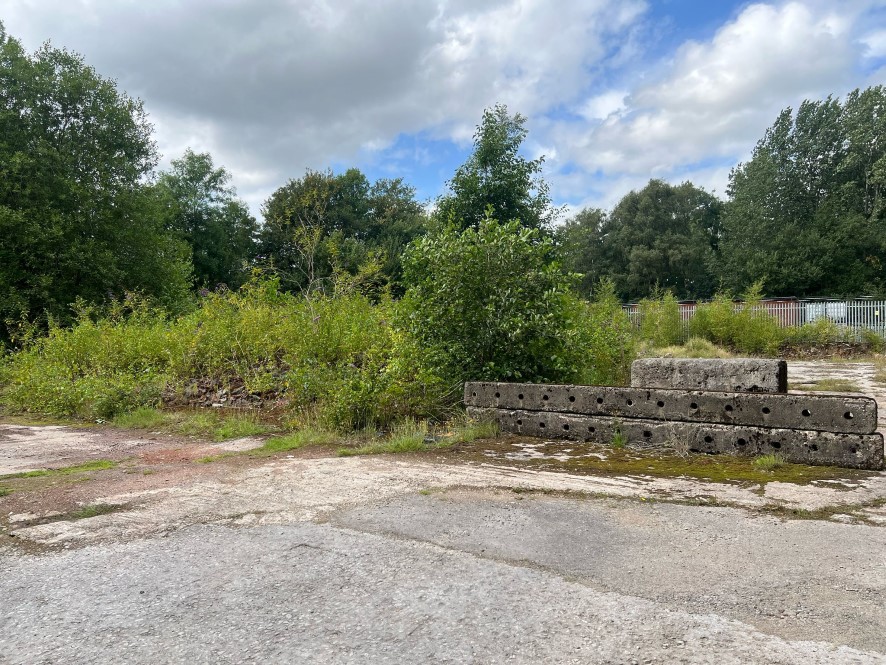 Lot Image