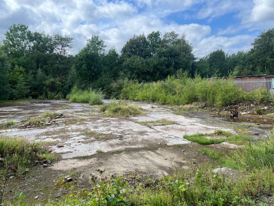 Lot Image
