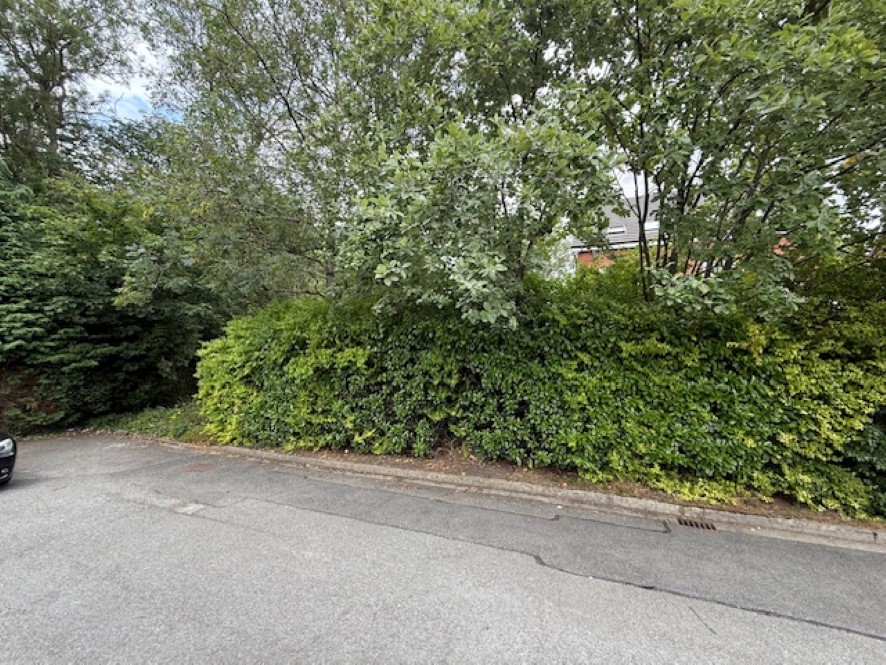 Lot Image
