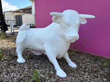 Property for Auction in Birmingham - Baby Bull , . .