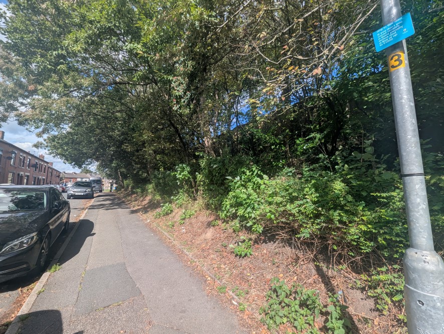 Lot Image