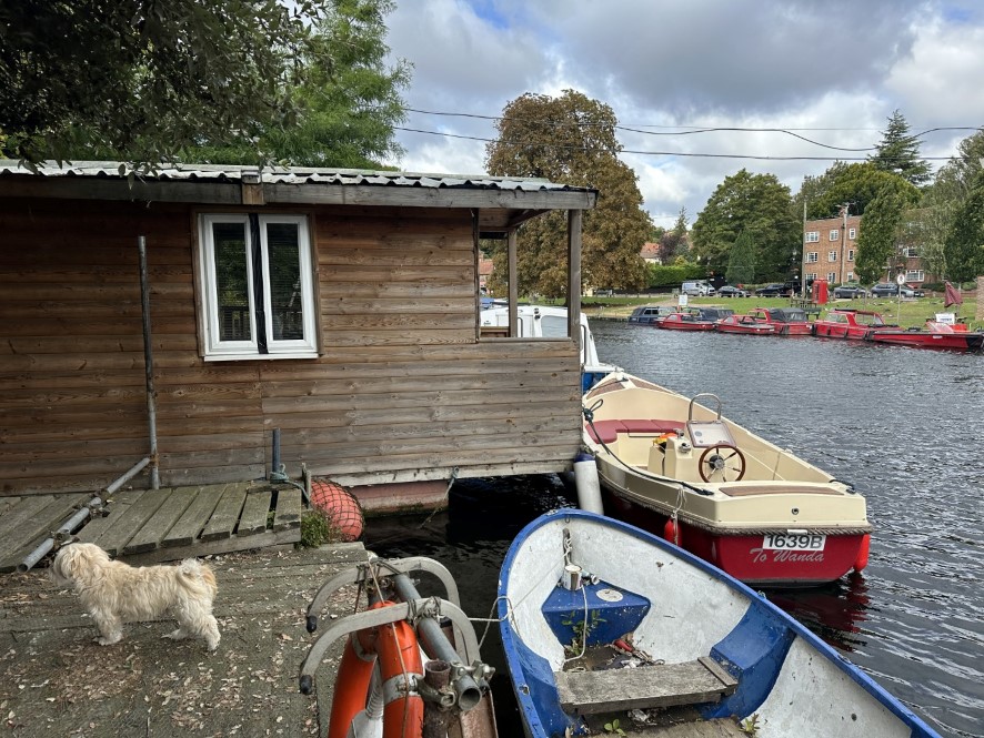 Lot Image