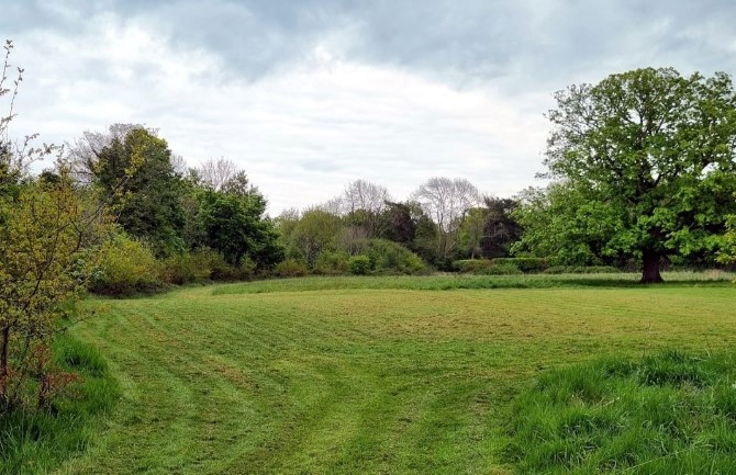 Lot Image