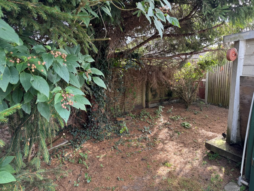 Lot Image