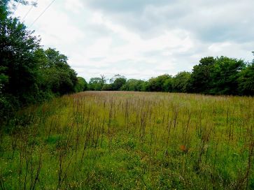 Property for Auction in East Anglia - Land off, Plummers Lane, Saxlingham Nethergate, Norfolk NR15 1TE