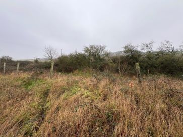 Property for Auction in East Anglia - Land off, Docking Road, Burnham Market, King's Lynn, Norfolk PE31 8JU