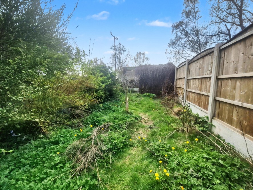 Lot Image