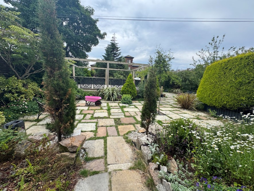 Lot Image