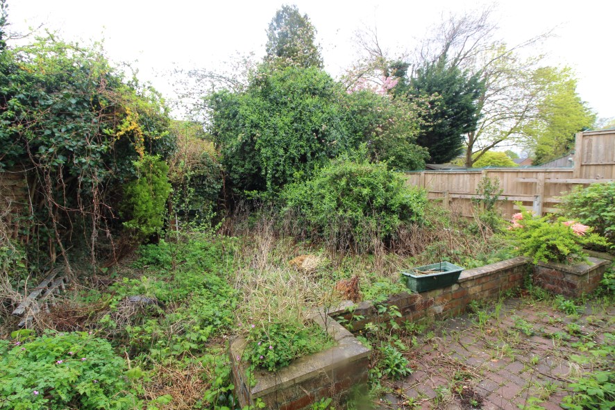 Lot Image