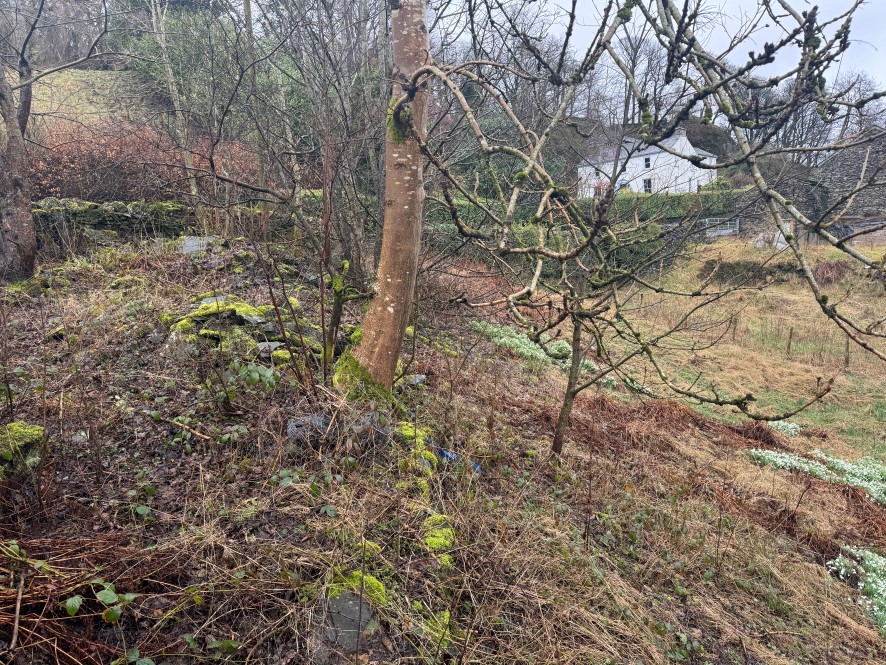 Lot Image
