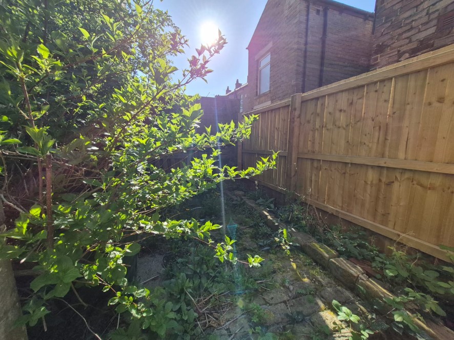 Lot Image