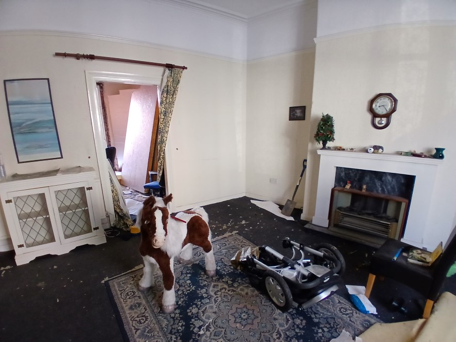 Lot Image