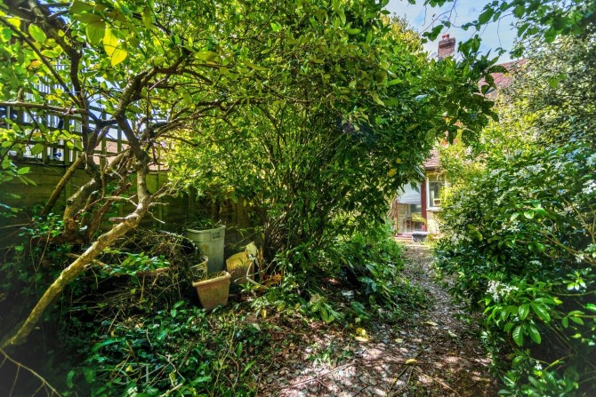 Lot Image