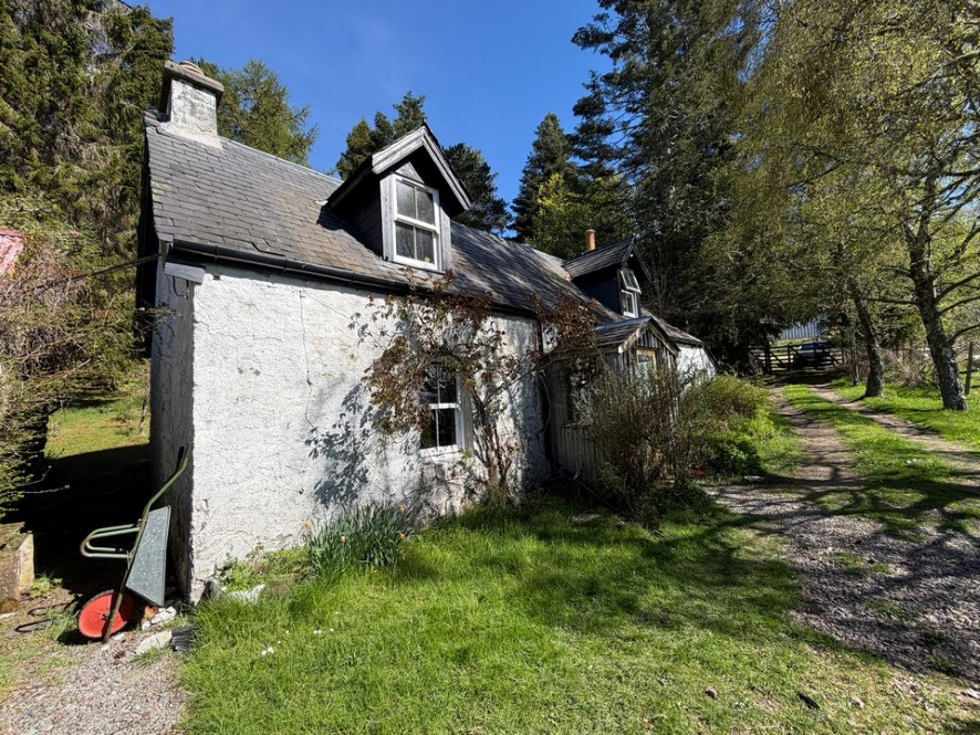 Lot Image