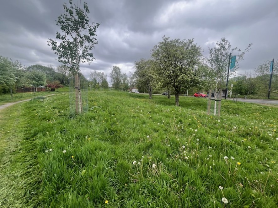 Lot Image