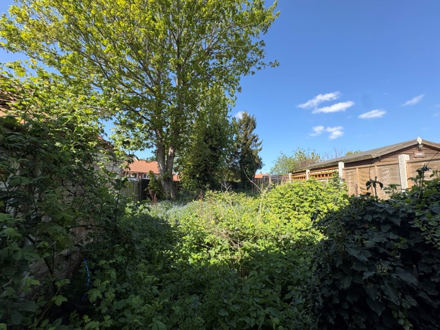 Lot Image