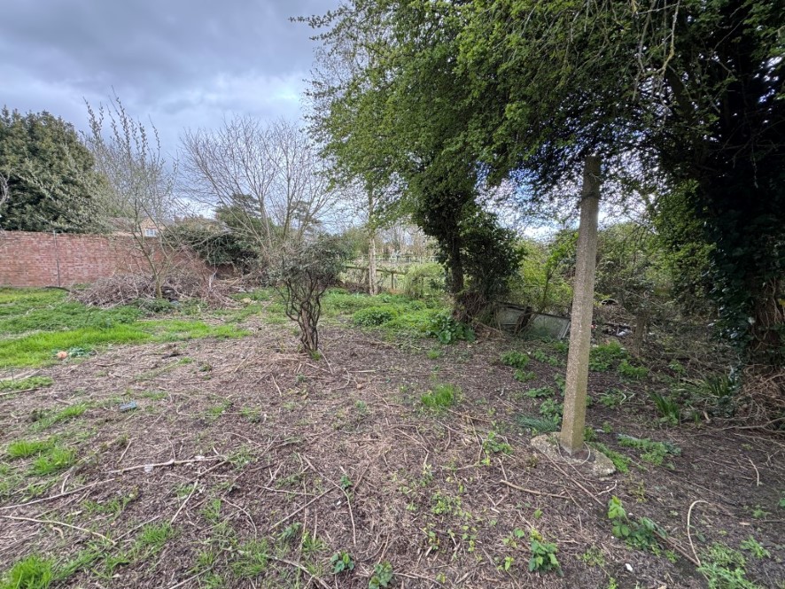 Lot Image