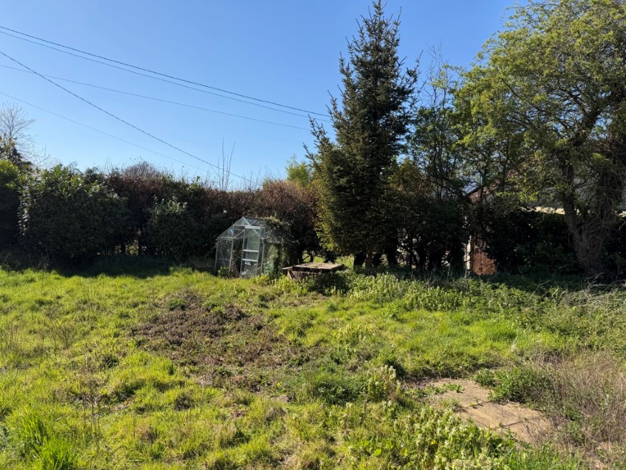 Lot Image