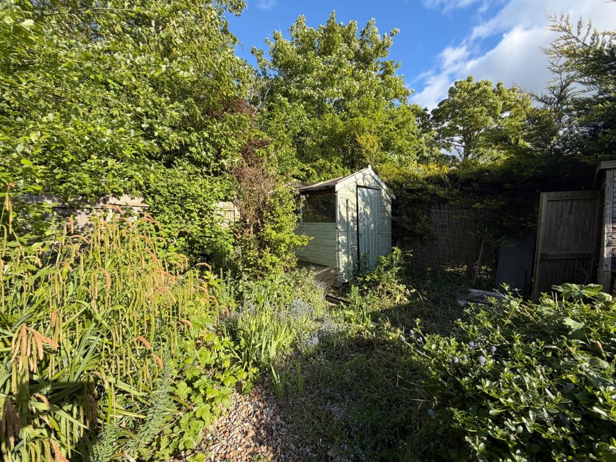 Lot Image