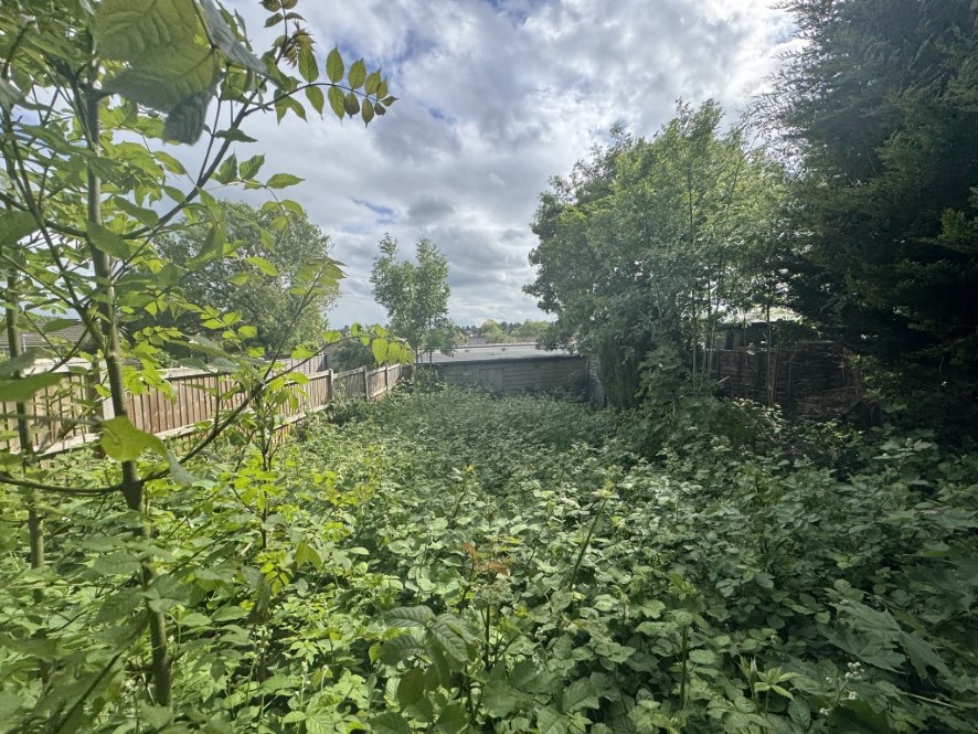 Lot Image