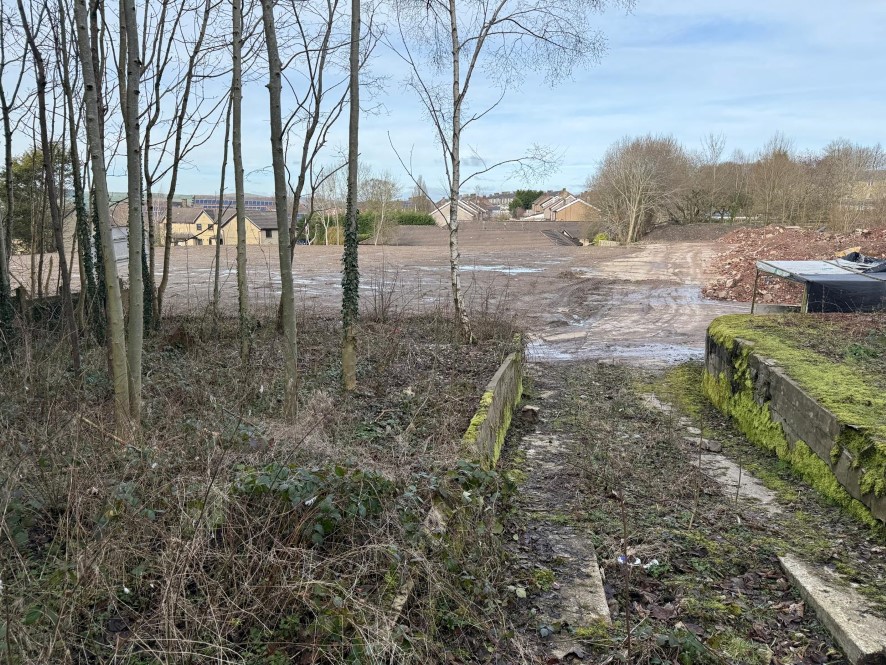 Lot Image