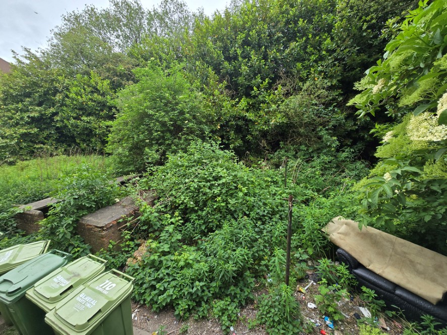 Lot Image