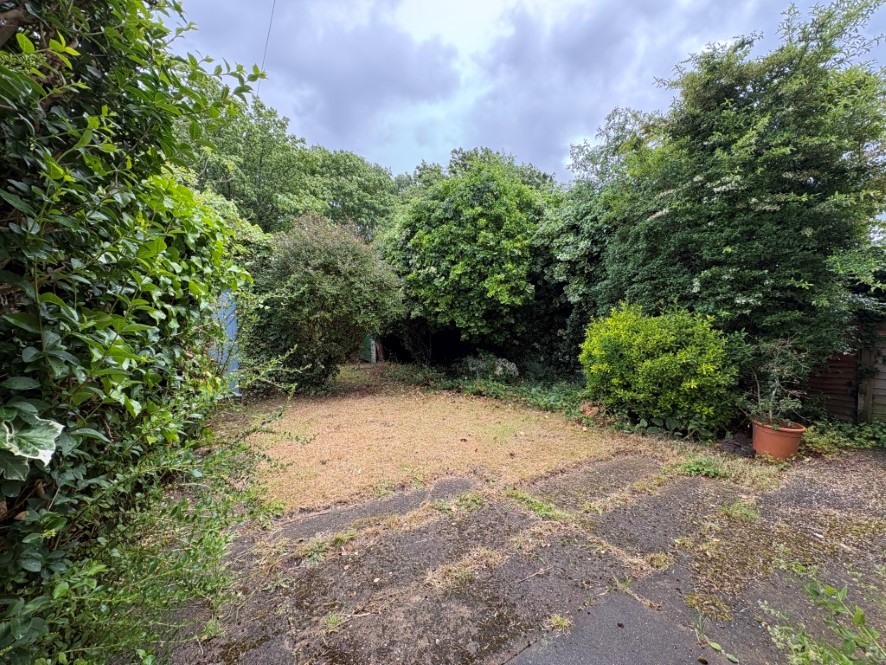 Lot Image