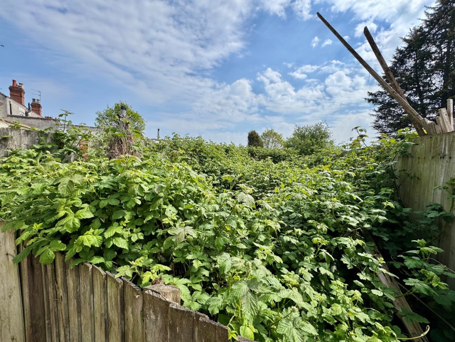 Lot Image