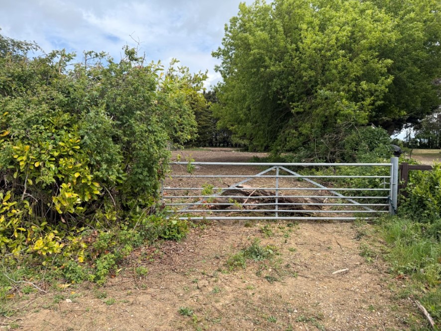 Lot Image