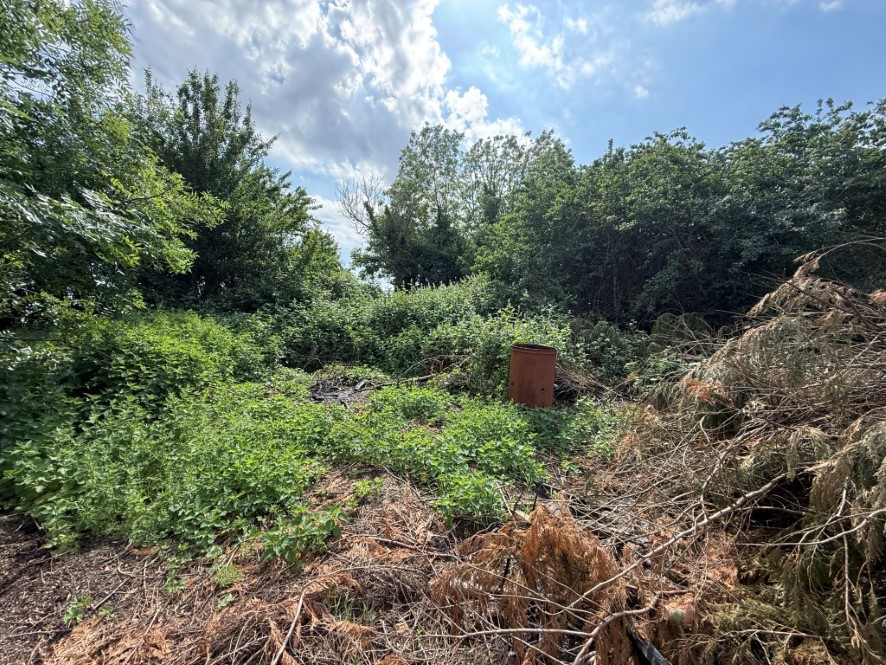Lot Image