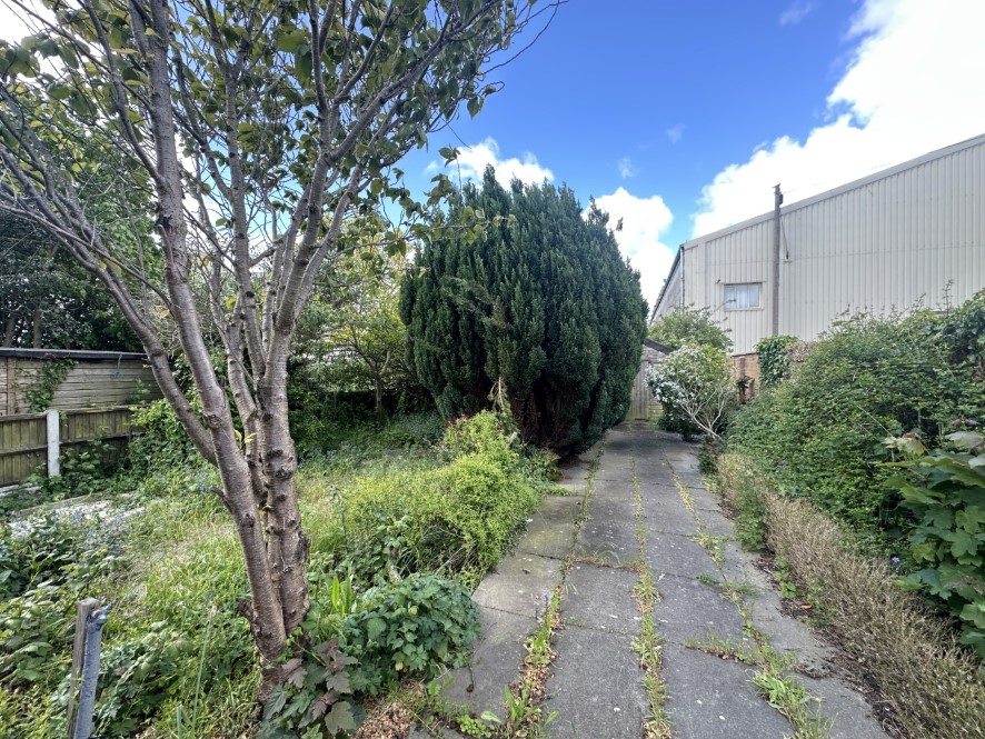 Lot Image